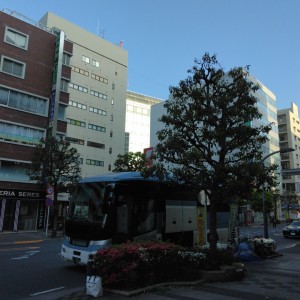 IMG_20250422_061515