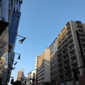 IMG_20250422_061527