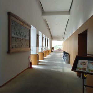 IMG_20250422_080244