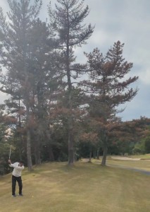 20251120_124324_jp.scn.android