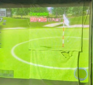 20260124_102217_jp.scn.android