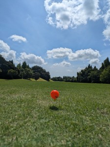 PXL_20260617_001813320